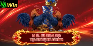 Đá Gà - Sân Chơi Cá Cược Trực Tuyến Tại Nhà Cái V8win