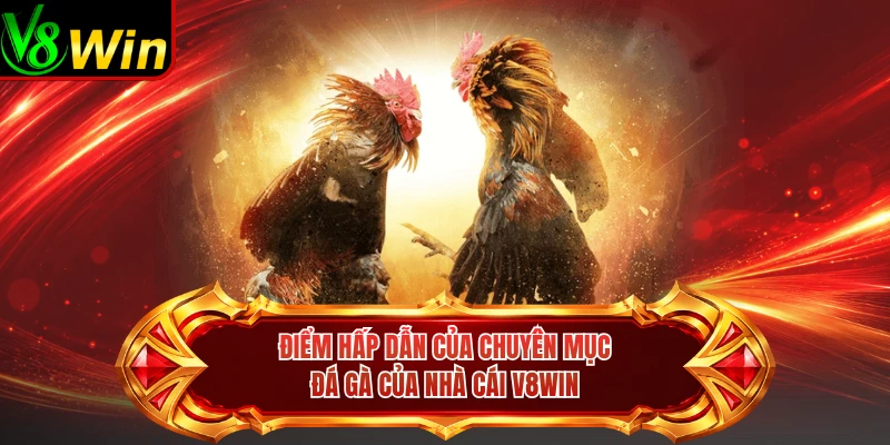 Điểm Hấp Dẫn Của Chuyên Mục Đá Gà Của Nhà Cái V8win 