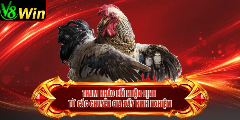 Tham Khảo Lối Nhận Định Từ Các Chuyên Gia Đầy Kinh Nghiệm 